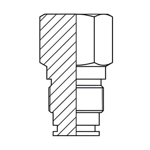 Cavity Plug Hex Socket