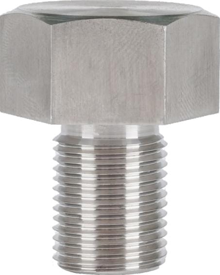 Cavity Plug