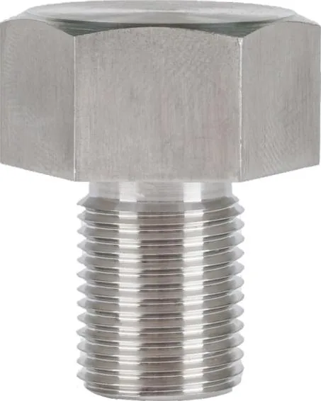 Cavity Plug